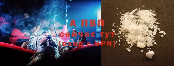стафф Майский