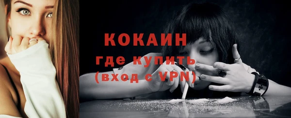 дживик Магас
