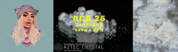 стафф Майский