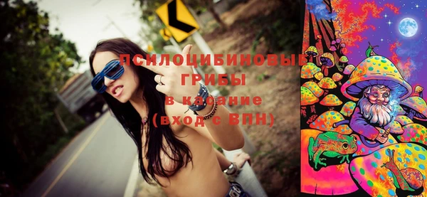 дживик Магас