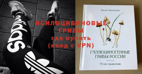 дживик Магас