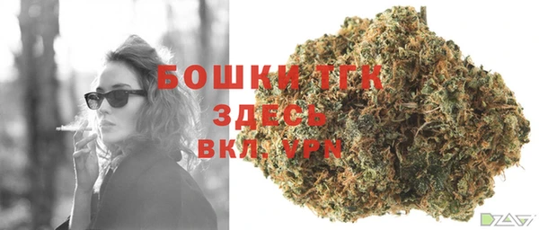 стафф Майский