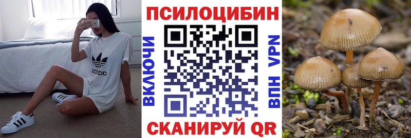 Купить где  Славянск-на-Кубани  Псилоцибиновые грибы прущие грибы 